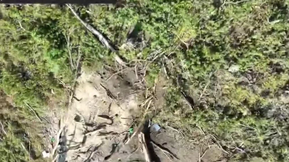 ������ ���� ������ ����������� ����� ��������� ������� ��� �� ��������� �����������