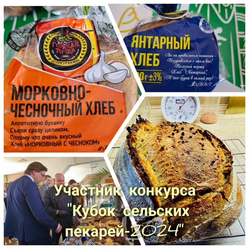 ������� �����������, ����������� ������ �� ���������������� ������, ������ ������� � ������������� �������� "����� �������� ������� ������ - 2024"