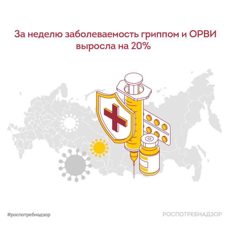 �� ������ �������������� ������� � ���� ������� �� 20,1 % � ���������������� ����� 471 ����� �������