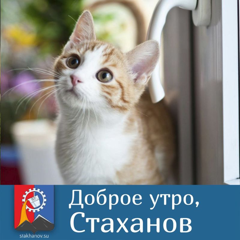 �������� ���: �� ������� ������ ��, ��� ������ ������ ������