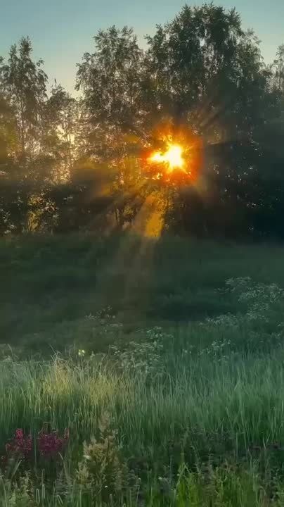 ��������� ����� ���� ������� � ��������