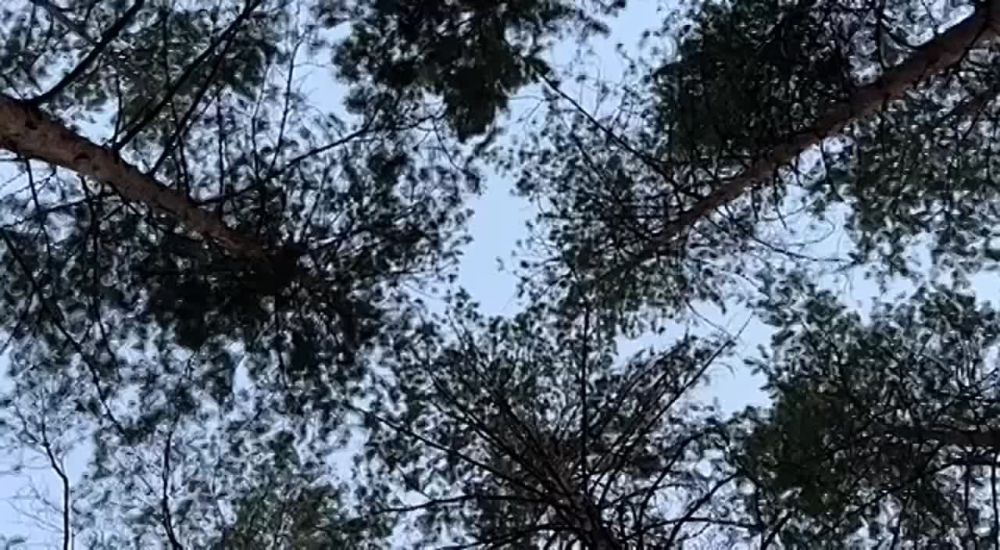 �������������� �� ����� ����������� ������ ������ � ����� ����������� ���� � 2022 ����