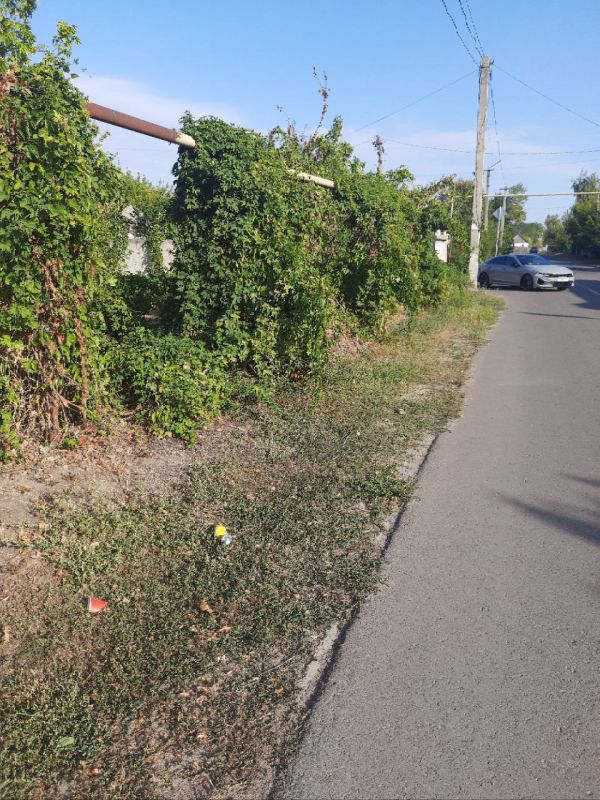 ����� -����� ���������� � ����, � ������ ������� �������