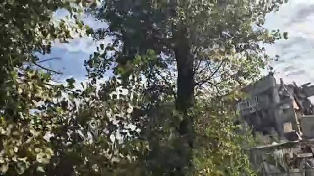 ��������� ���� �������� �������� ������������ ���� � ����������� ������