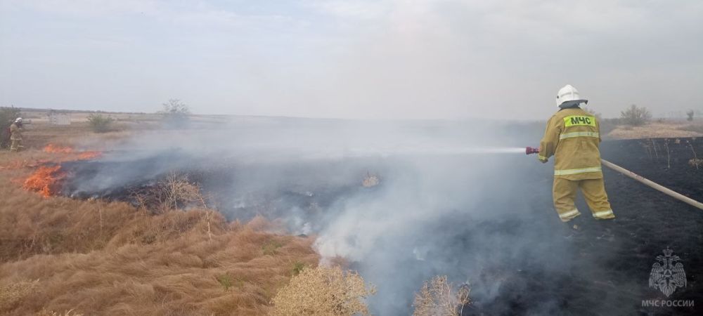 ����������� ������ ������� ����� ������������, ��� ��������