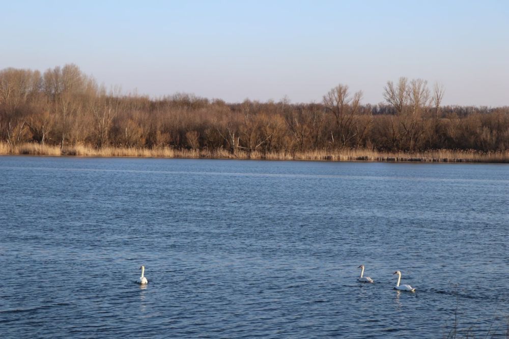 � ������ �����, ������ ����������� �������������� ������!