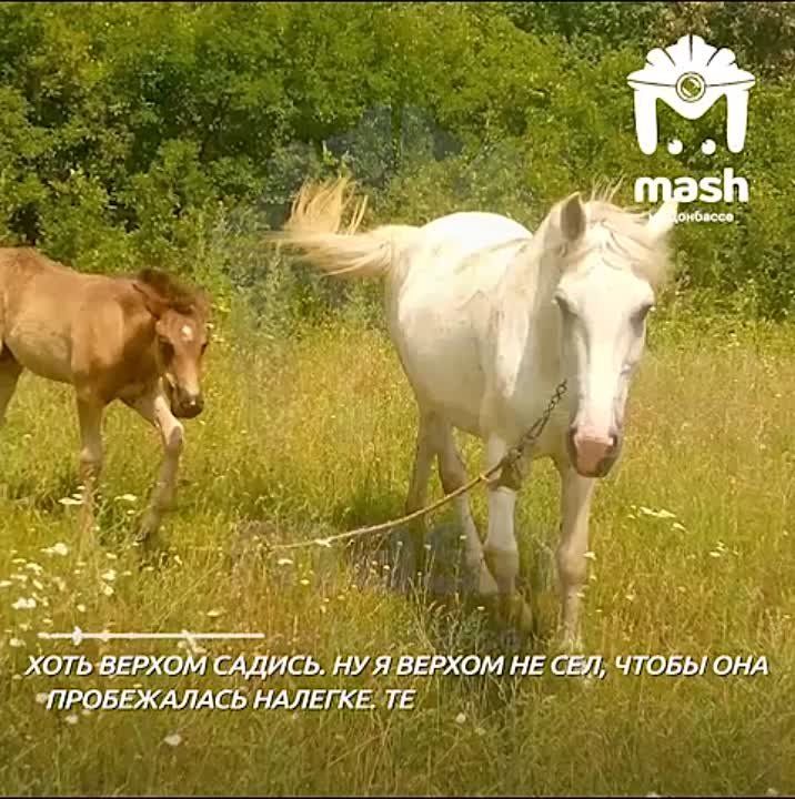 ��� ��� ��������� ������� �������� �� ������