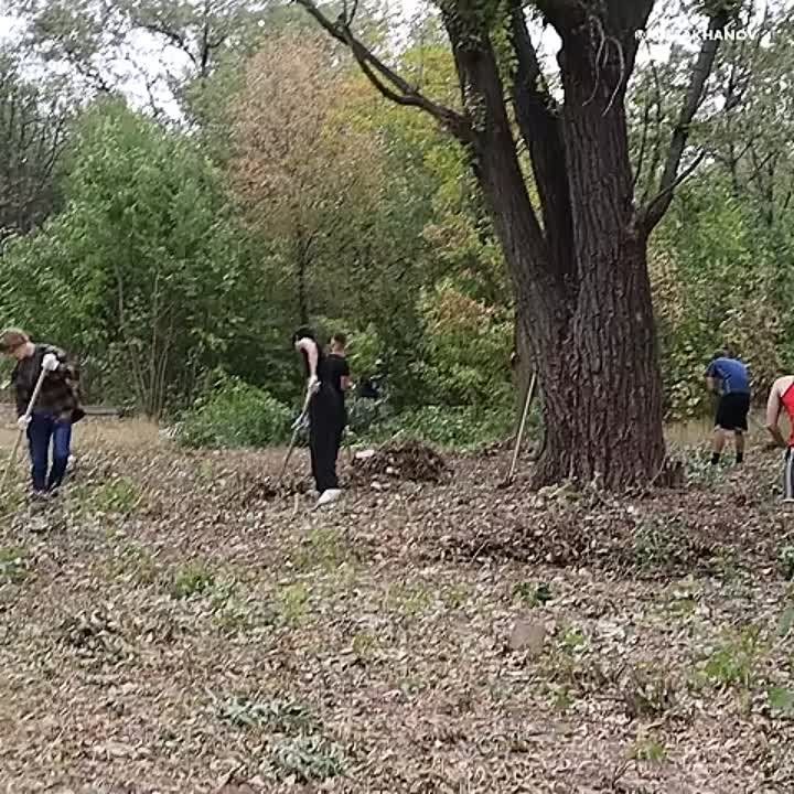������� � ������ ������ ������ ��������� ���������: ��������� ������ ������������, �������� � ������������ ������ �������� �������
