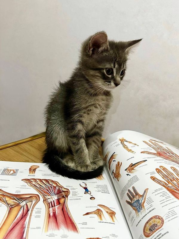 ��������� ����� �� ��������!