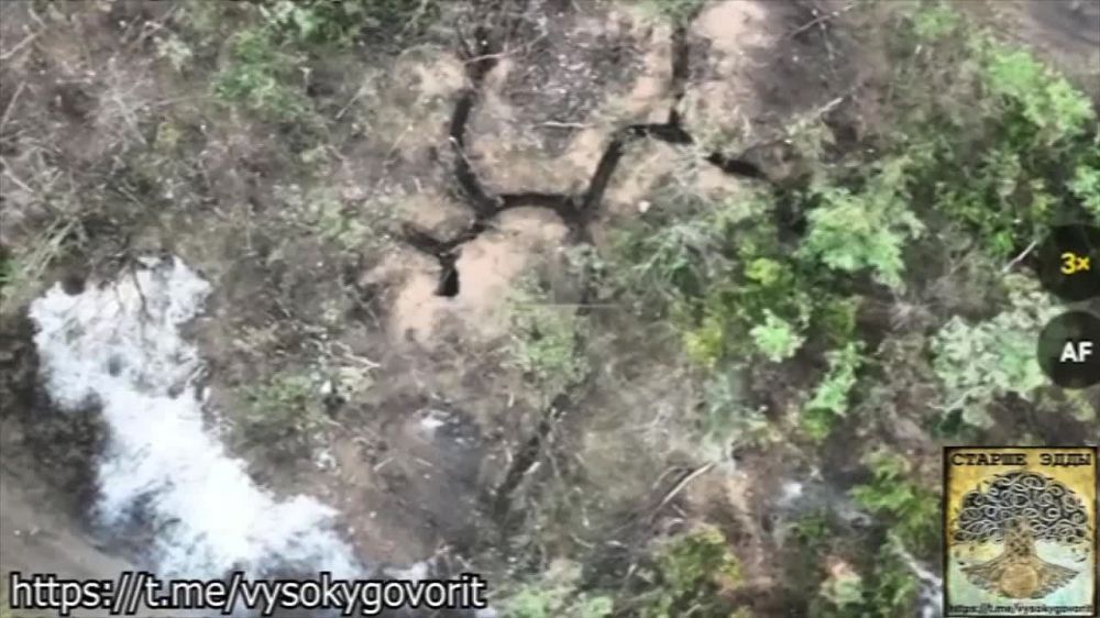 �� ������ �� ��, ��� �������� �������� ������ ��������� � �������� � ����������� ������������, �� ������� ������ ������� -...
