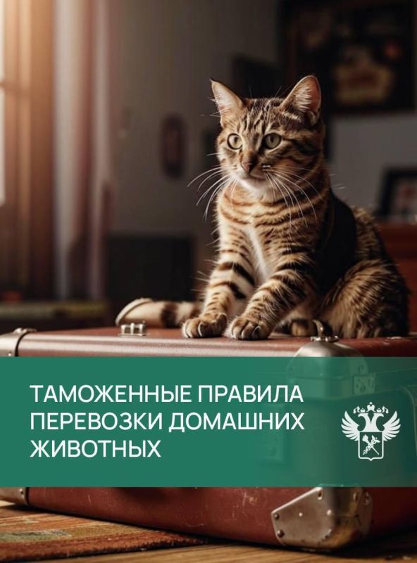 ����� ���������� ���������� ���������� � ���������� �������� ����������� � ��������� ���������