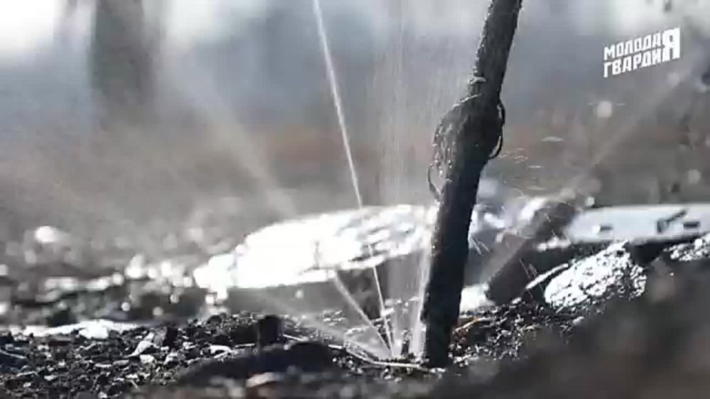 Оперативная помощь Свердловску