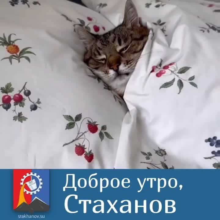 ������ ����, ��������!. �� ����� �������. ����� ����� ��������� ��� ����, ������ � ��������� ����� � ��������� ���� ���� �������... ���������