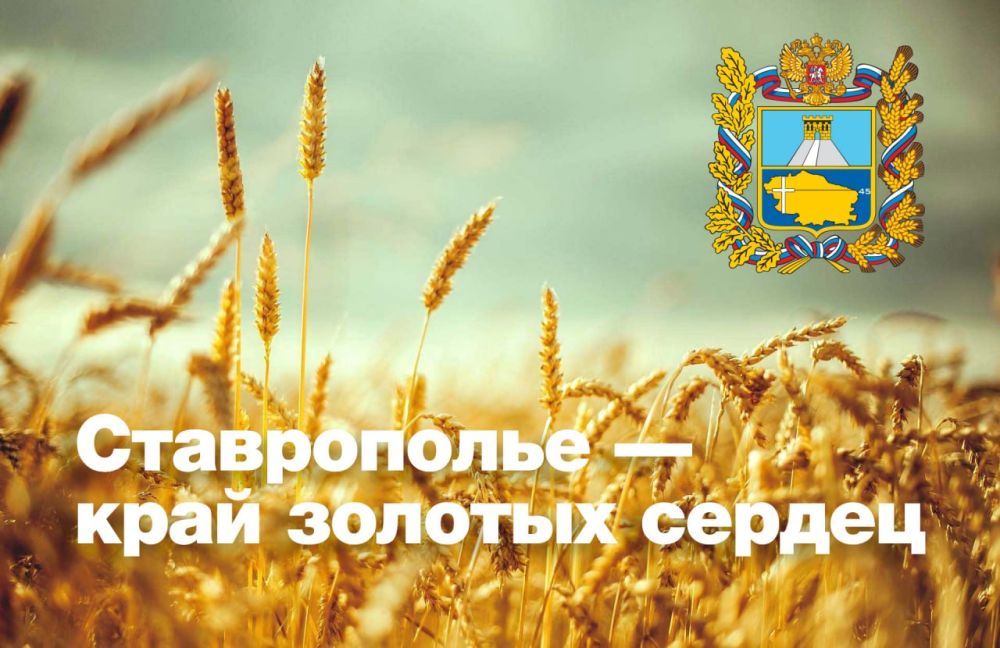 ������ ������: ������� ������ ��������������� ����, ������, �������!