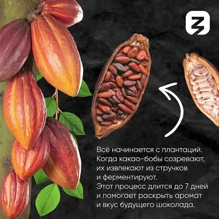 ������� ���������� ������������� ���� ��������