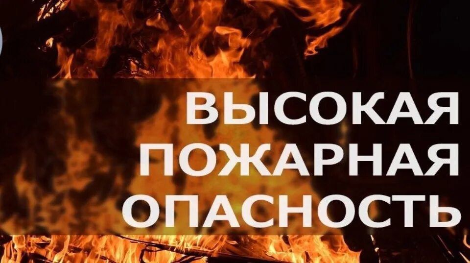� ����� � ���������� ���������������� � �������� ������������� ������ ������� �� ������ ���������� �� ������ �� ������ 101, �� � �� ������ +79595277318
