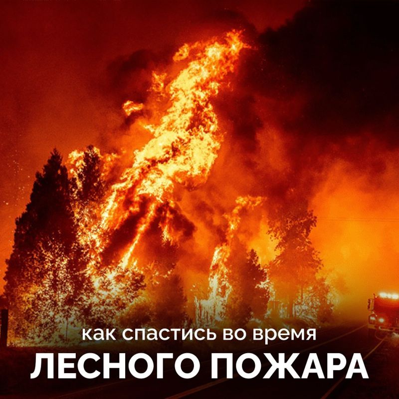 � ��������� ����� ��������� ������ ����� �������� ������ ������