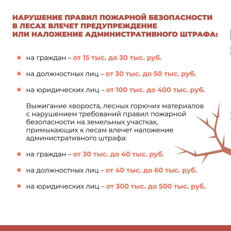 �������� ��������: � ��� ����������� �������� � �������� ������������