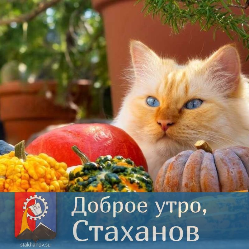 � ������� ����� ������� ������, ������� ������!