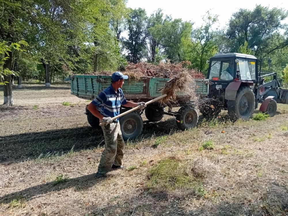 ����� �����: ����������� ��������������� ������������ - �������������� ������ �� ����������� ����