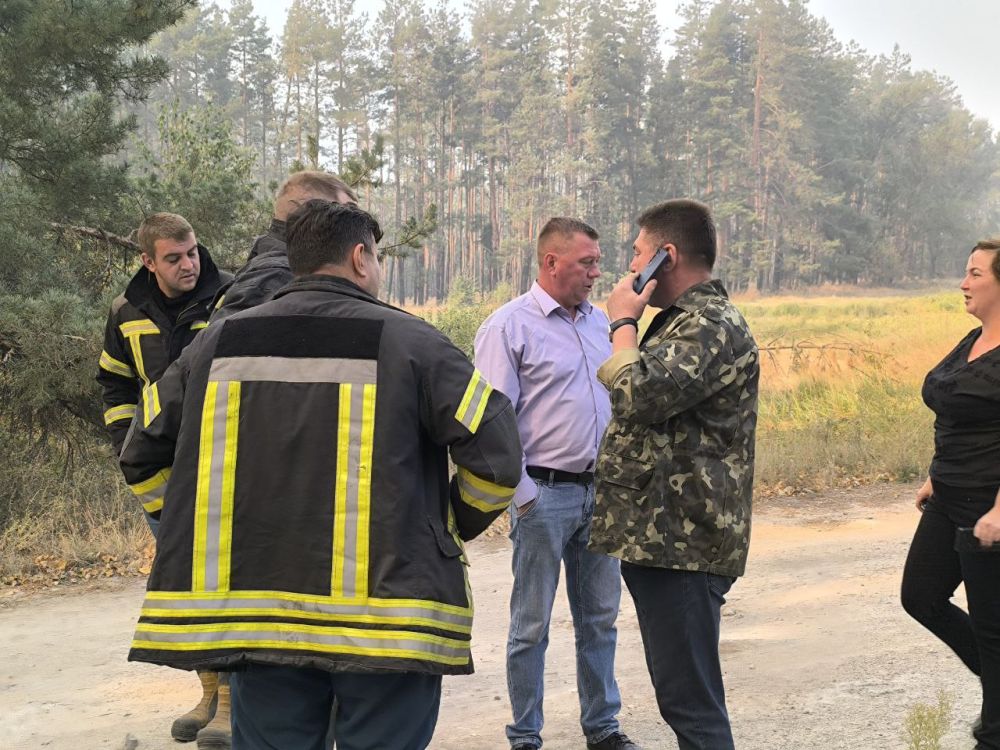 ������� ��������: ������ � ������� ��������, ��� ������� ���������� ������, ���������� 15 ��������