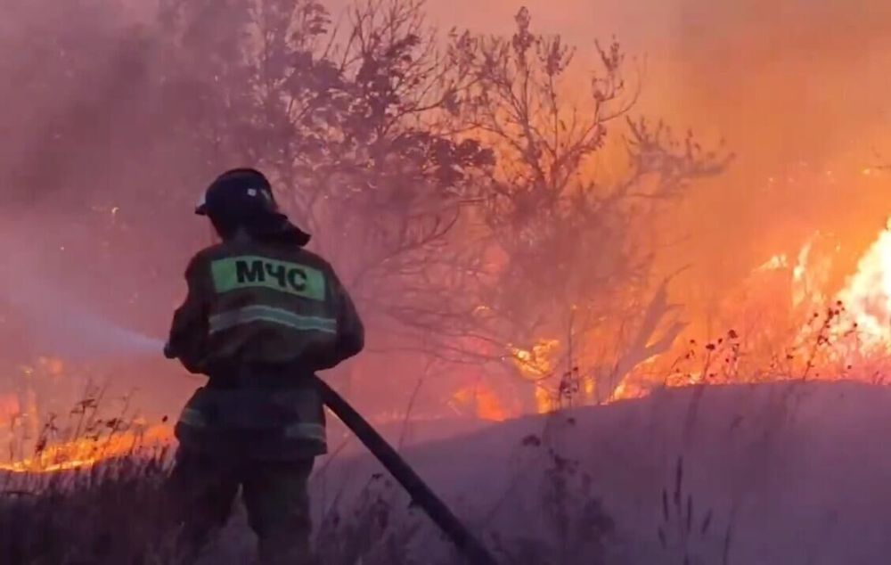 � ��� ��������� ����� 80 ������� �� �����