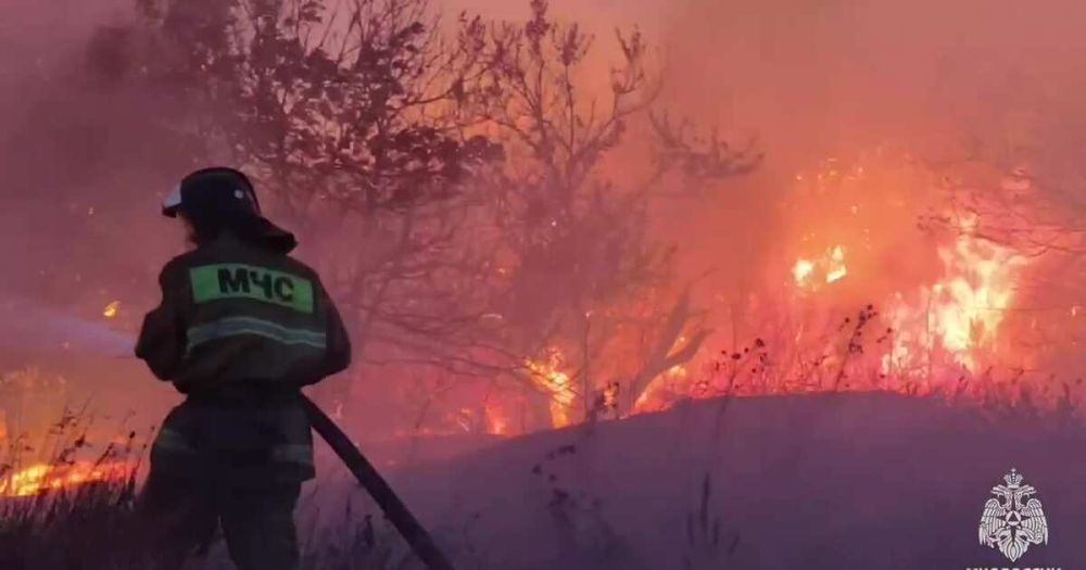 �������� �������� � ��� ��� ������ � �������� ������ ������������� ����� ��� ��