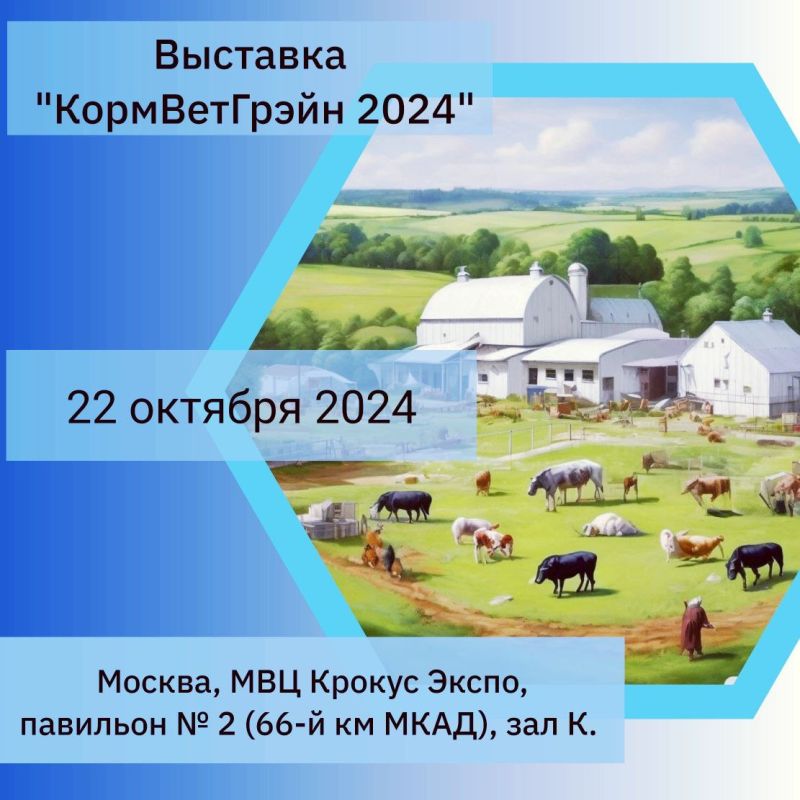 22 ������� 2024 ���� � ������ ������� ��������� �������� "������������ 2024" ������� ��������� ���������-���������������� ������� �� ����������� � ������������, ������������ � ������������