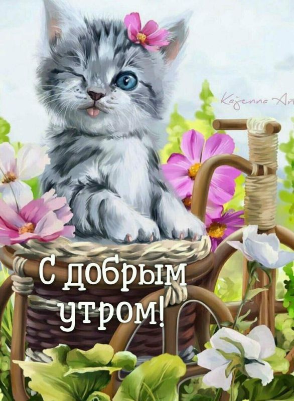 � ������ �����, ������ �������������� ������!