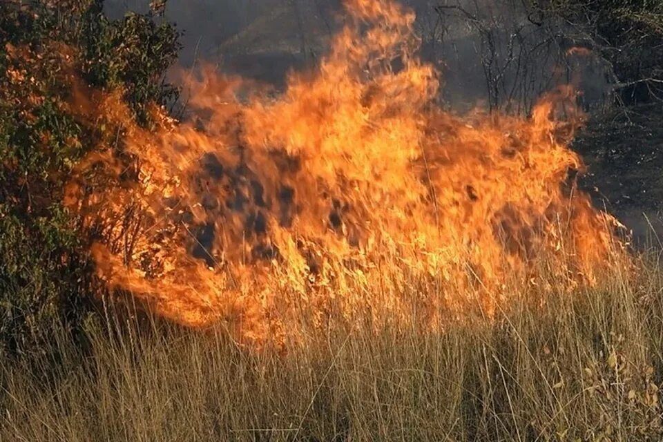 � ��� ����� ����� �� ������������� ������ ��-�� �������