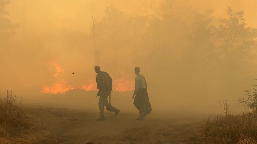 � ������ ����: ������� ������ � ��� �������� ���� ����� �� �������