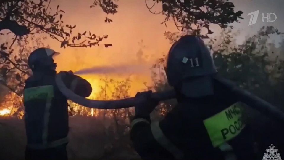 ����� 160 ����� ���������� �� ��������� ������� � ��������-��������� ������ ���