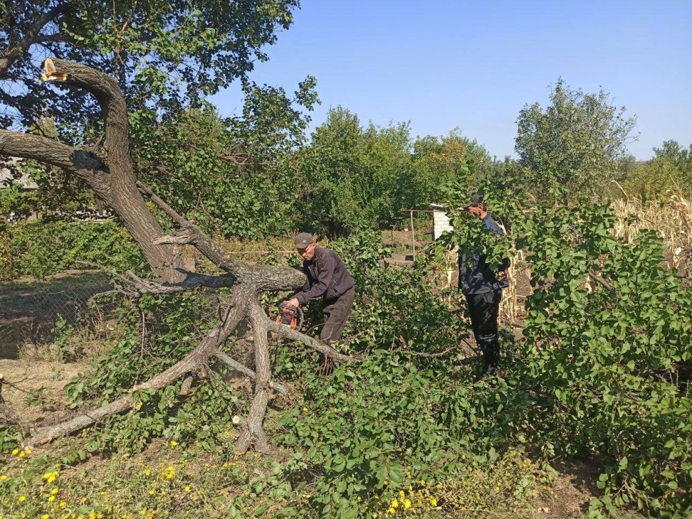 �������� ��������: ������������ ������ ���������� ������ �� ������ �������