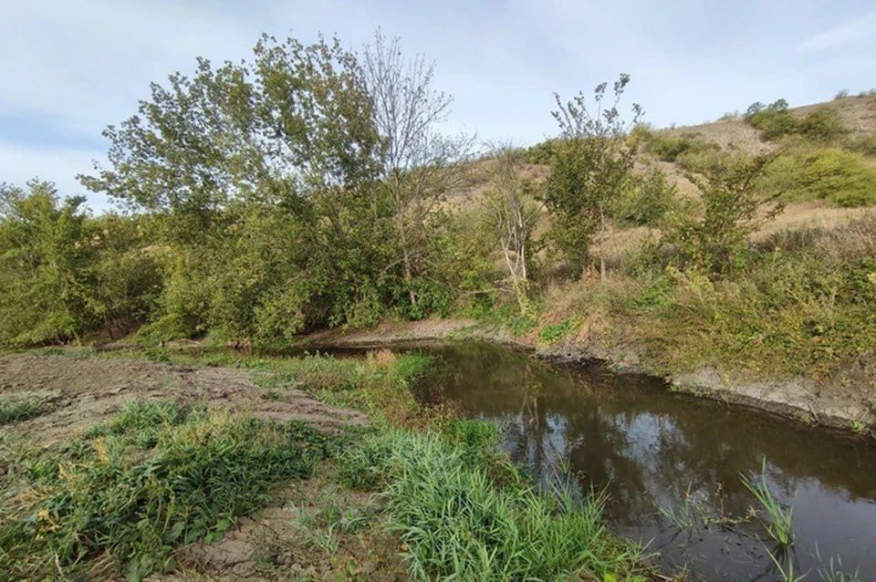 ���� �������� � ��� ���������� �� ������ �� 87%