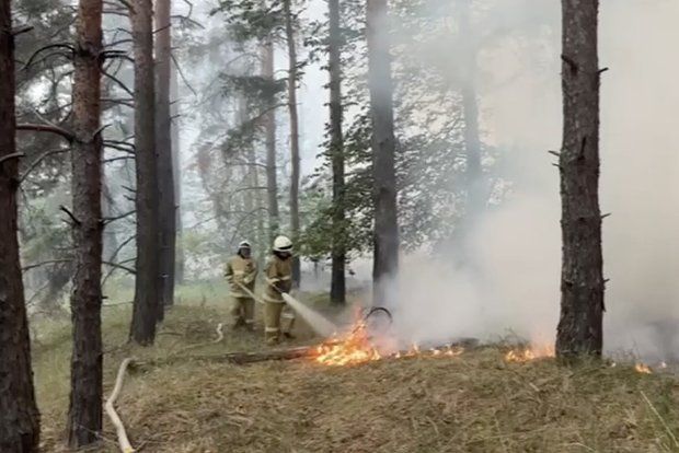 ��� ������: � ��� ����������� ����� �� ������� 2390 ��������