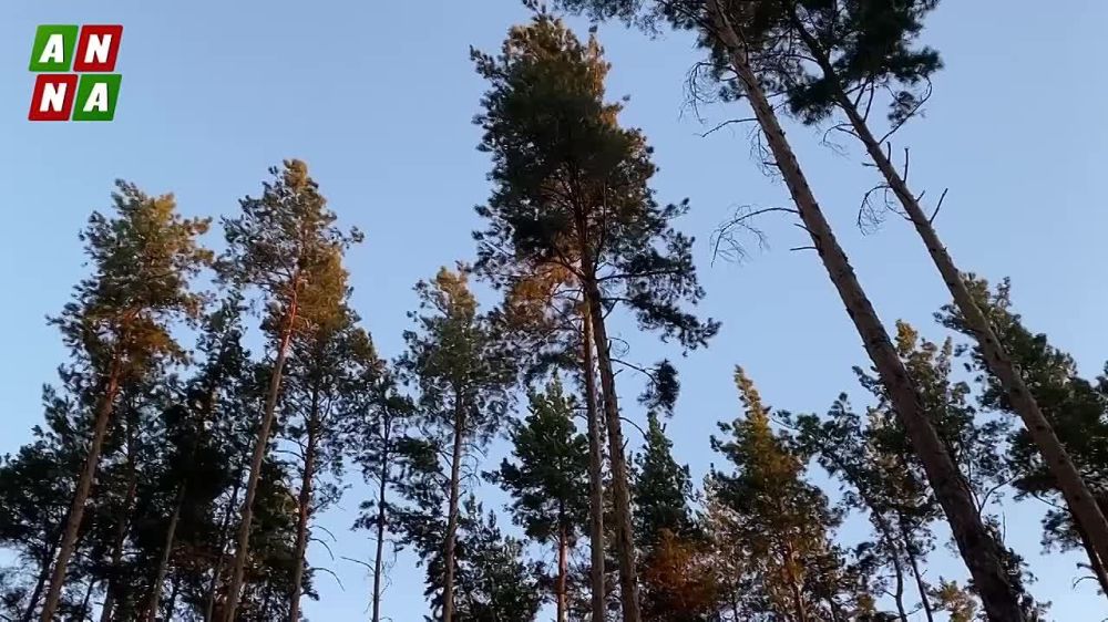 ����� � ���� ��� ��������� ��������� ��������� ����������