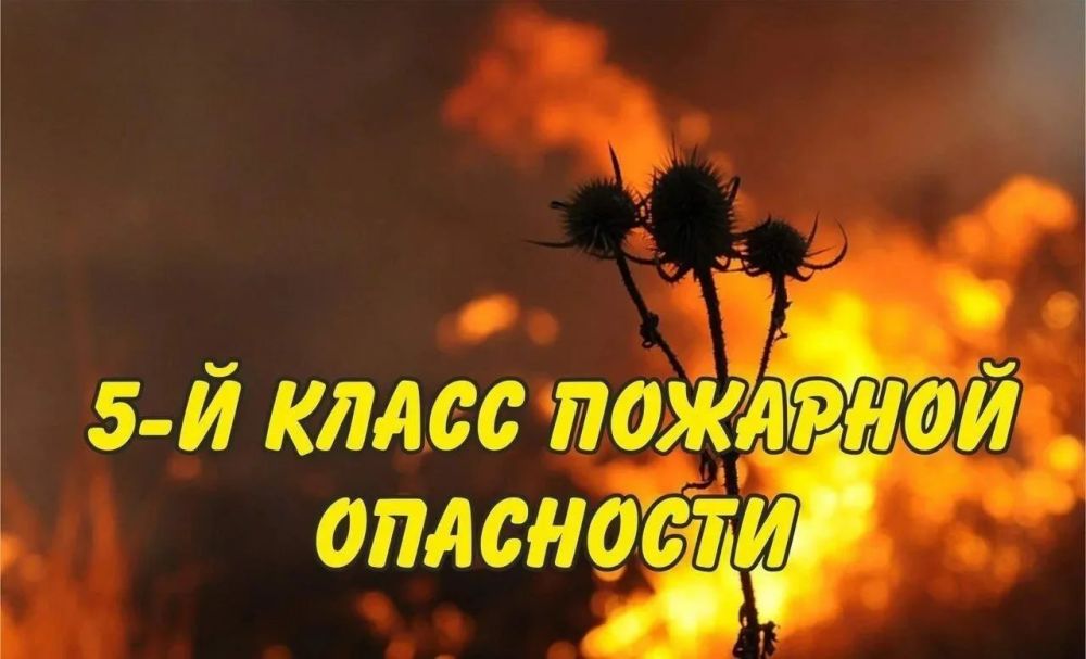 ��������� ������������� � ������������ ��������������� � ��� 23�24 ��������