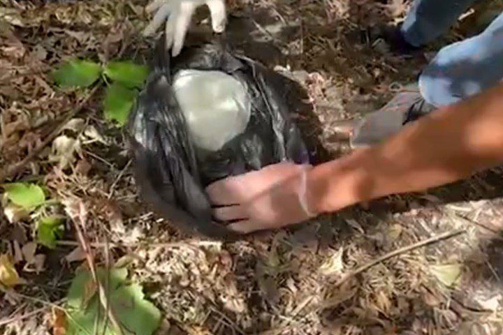 � ��� ��������� 34-������ ���������� �� ������� � ����� ����������