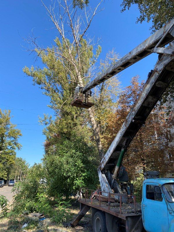 ��������: � ����������� �������� ��������� �������