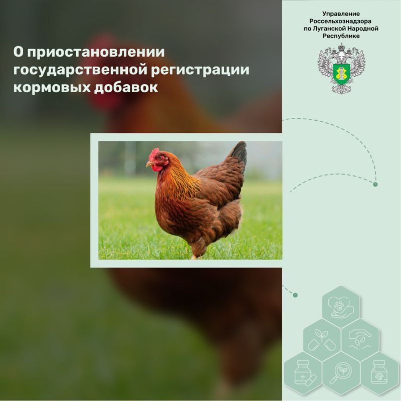 � ��������������� ��������������� ����������� �������� �������