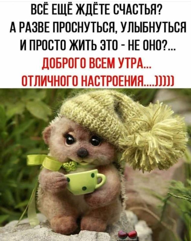 � ������ �����, ������ �������������� ������!