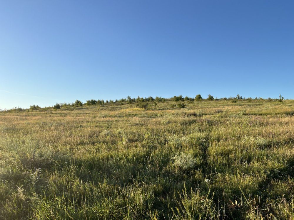 � ������ �����, ������ ����������� �������������� ������!