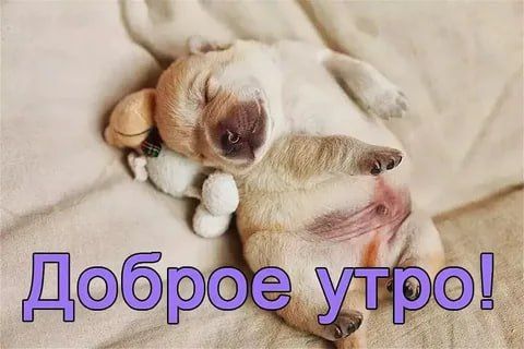 � ������ �����, ������ �������������� ������!