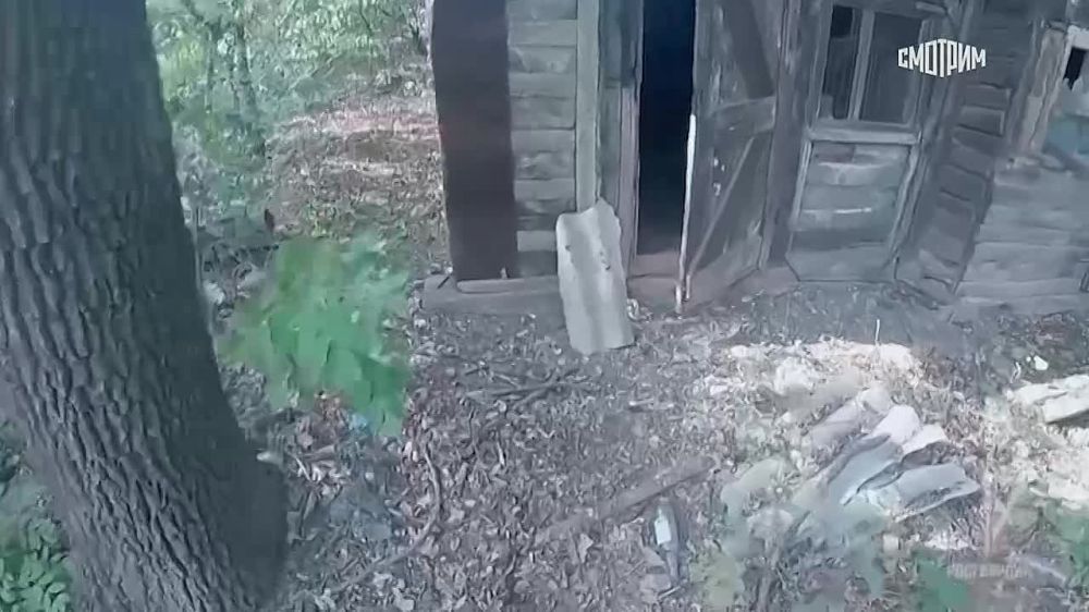 ������������ � ���������� ��� �� ���������� � ��� ��������� ������ ����������� ������ ���, �������� � ���-7, 45 ������ ��������� �����������, ���������� ����, ����� 4 �� ����������, ����� 10 ����� �������� � ������ ����������