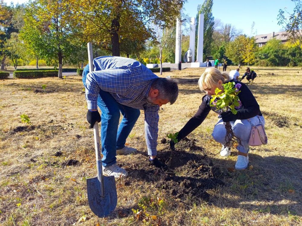 ������� �����: ������� ������������� � �������������� �������-����������������� ������� ��������� ���