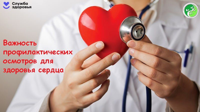 ��������� ������������ � ���� �� ������� ����������� ������ ��������� �������� ��������, � � ������������ ������ �������� ������ ����