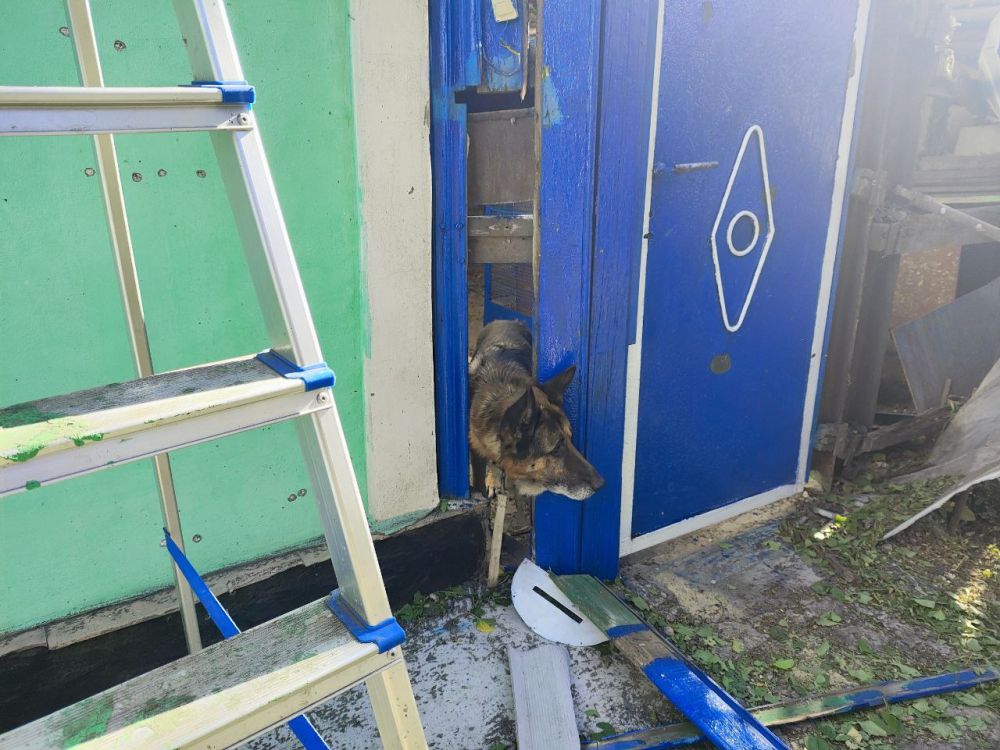 ����� ������� ���� ���������� ���� �� ���� ������ � ��������