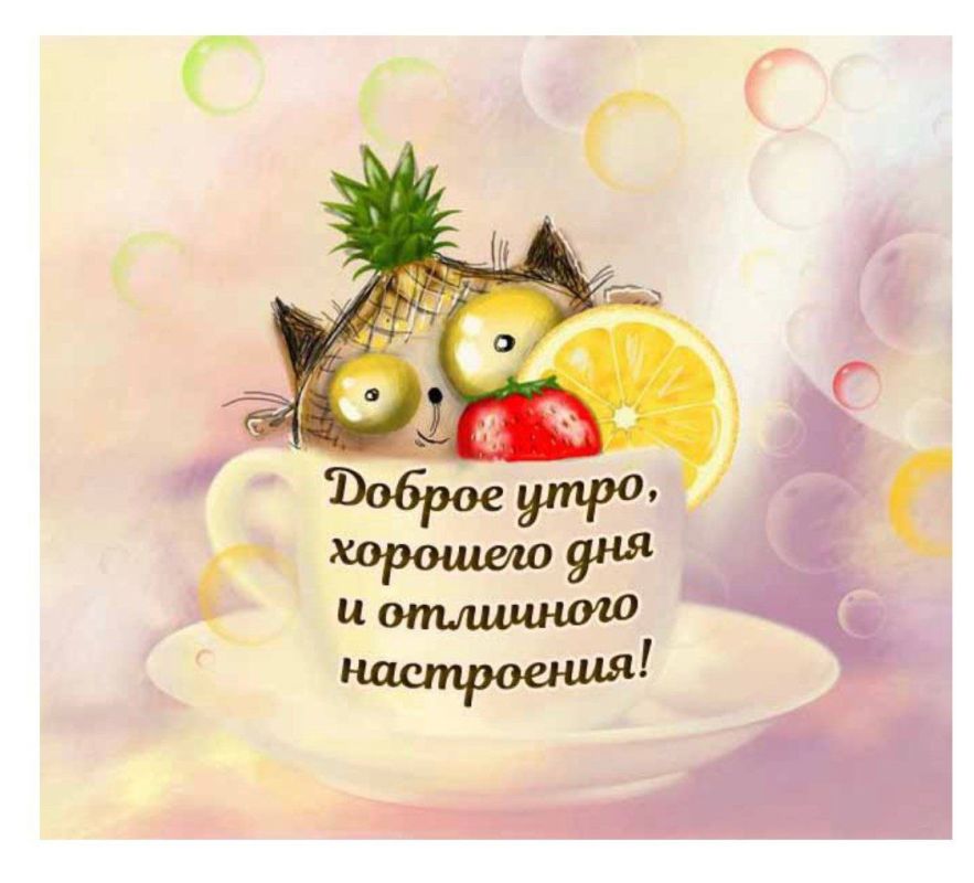 � ������ �����, ������ �������������� ������!