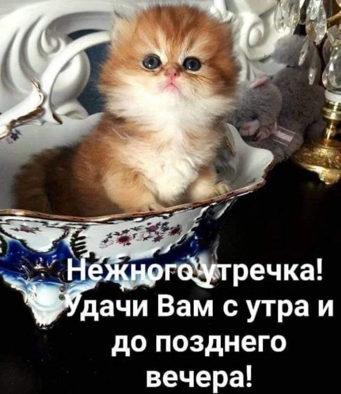 � ������ �����, ������ �������������� ������!