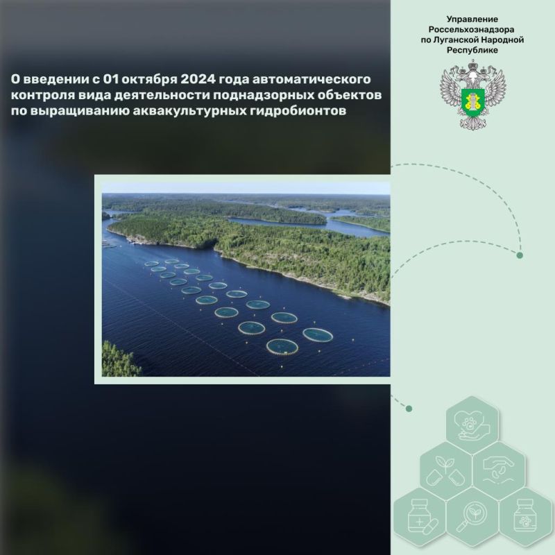 � �������� � 01 ������� 2024 ���� ��������������� �������� ���� ������������ ������������ �������� �� ����������� �������������� ������������